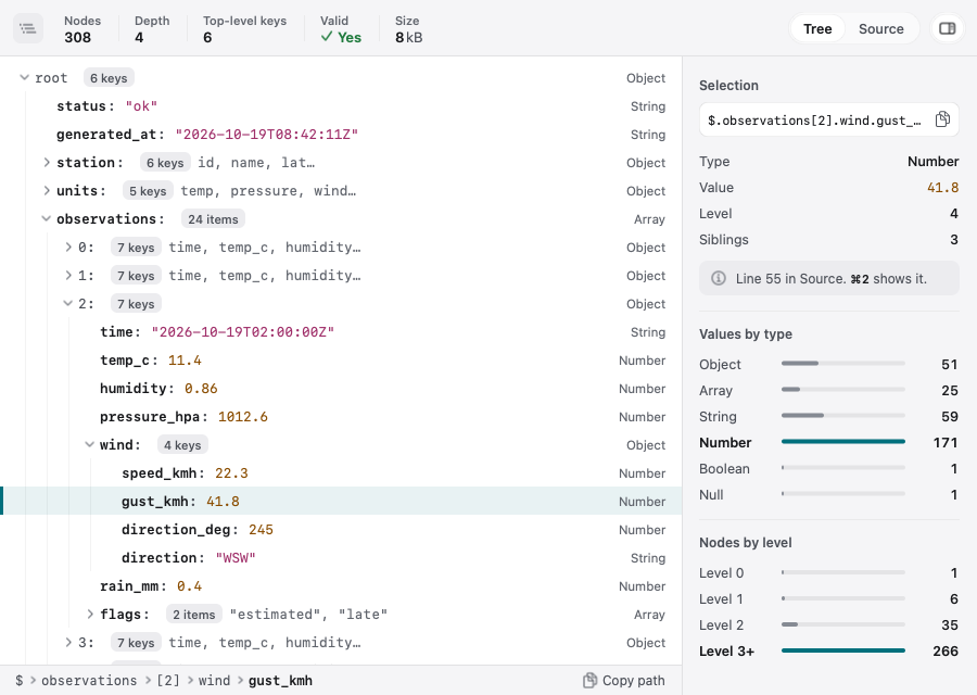 Showglass preview of a JSON file as a collapsible tree with value types, and a side panel describing the selected value.