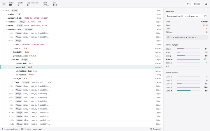 A Showglass JSON preview as a collapsible tree with value types and a selection panel.